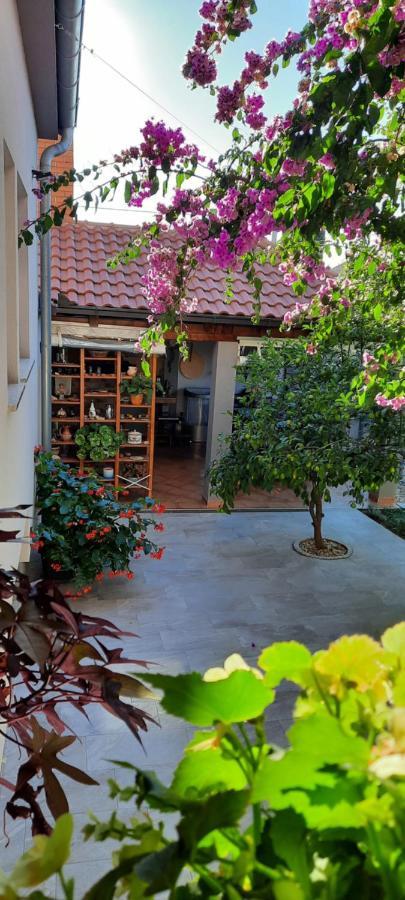 Apartments Luky زادار المظهر الخارجي الصورة